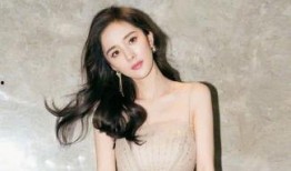 明星黑料女,明星黑料背后的真相与反思