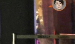 明星娱乐热点 吃瓜前线第一人,吃瓜前线第一人生动记录